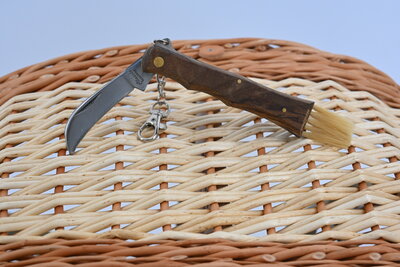 Pilzk&ouml;rbe mit gelochtem Holzboden